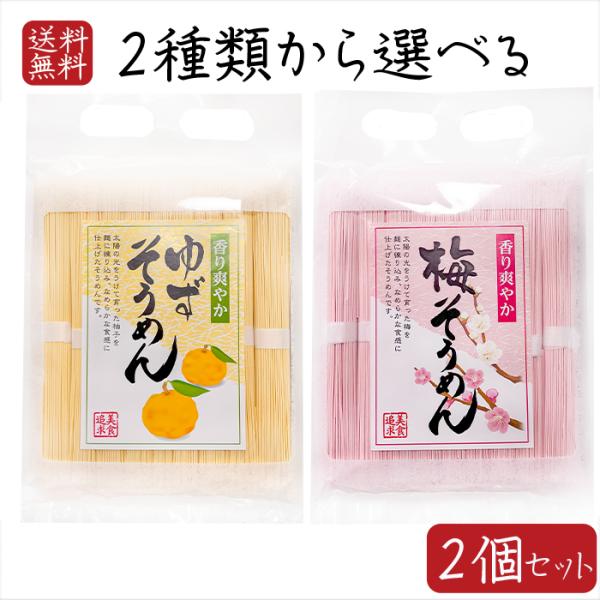 【送料無料】そうめん2種類から選べる2個セット 梅そうめん 450g(50g×9束入り) ゆずそうめん 450g(50g×9束入り) そうめん にゅうめん 梅素麺 柚子素めん
