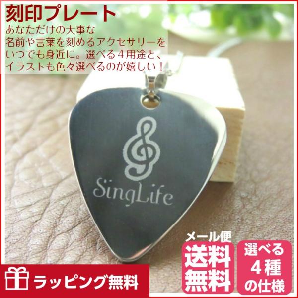 ネームプレート メッセージ 刻印 名入れ ギター ピック 楽器 迷子札