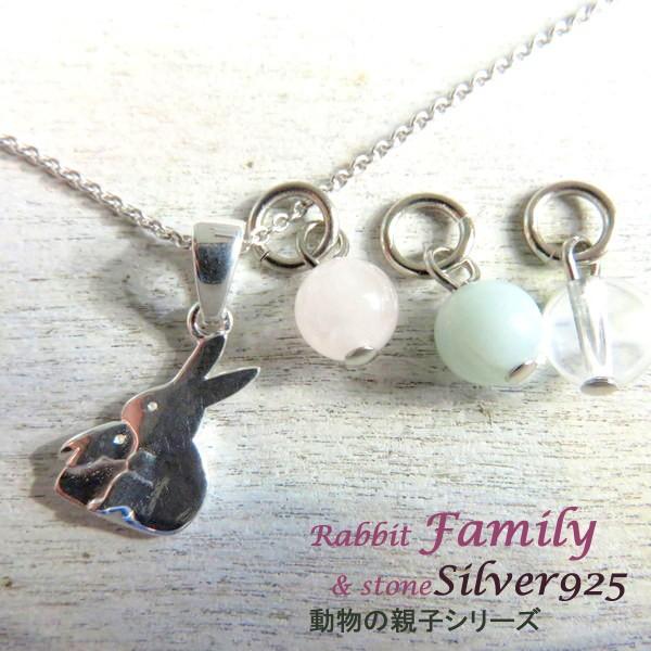 y_g Aj} t@~[ ETM Vo[XQT SV925 ʐ^ lbNX   oYj LO a v[g X^[OVo[ Mtg