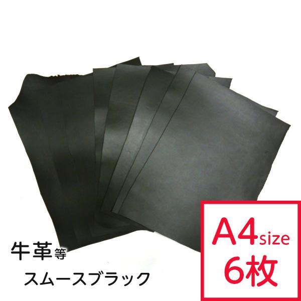 v͂ X[XubNZbg A4TCY×6