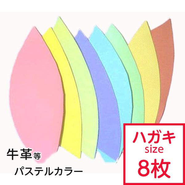 ySaleIzv͂  pXe ܂Zbg  ͂TCY×8