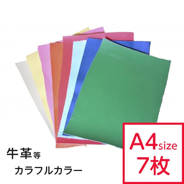 v͂ J[ ܂Zbg A4TCY×7