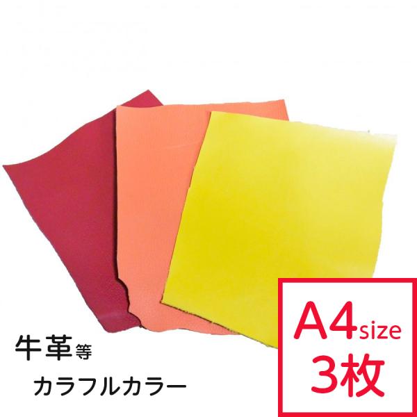 v͂ J[ ܂Zbg A4TCY×3