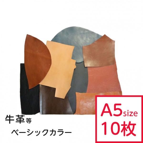 v͂  x[VbN ܂Zbg A5TCY×10