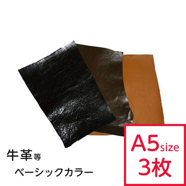 v͂  x[VbN ܂Zbg A5TCY×3