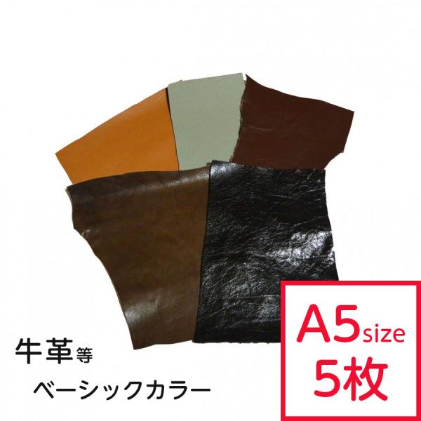 v͂  x[VbN ܂Zbg A5TCY×5