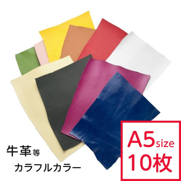 v͂  J[ ܂ZbgA5TCY×10