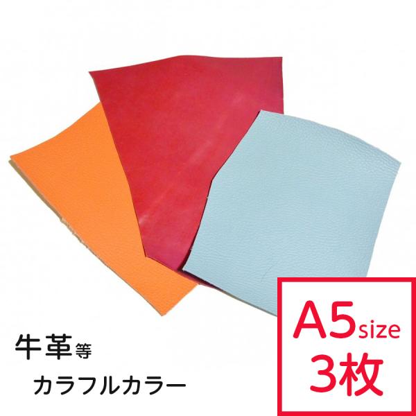 v͂  J[ ܂Zbg A5TCY×3