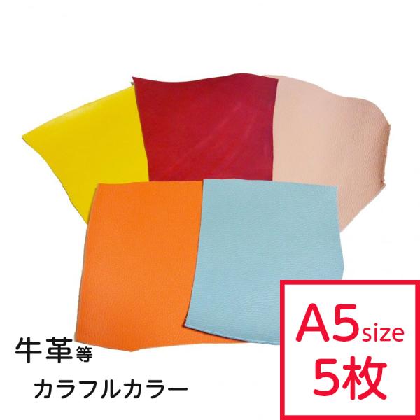 v͂   J[ ܂Zbg A5TCY×5