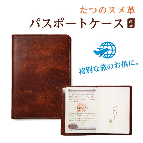 ̎Ykv pX|[gP[X AeB[NH {v oNω