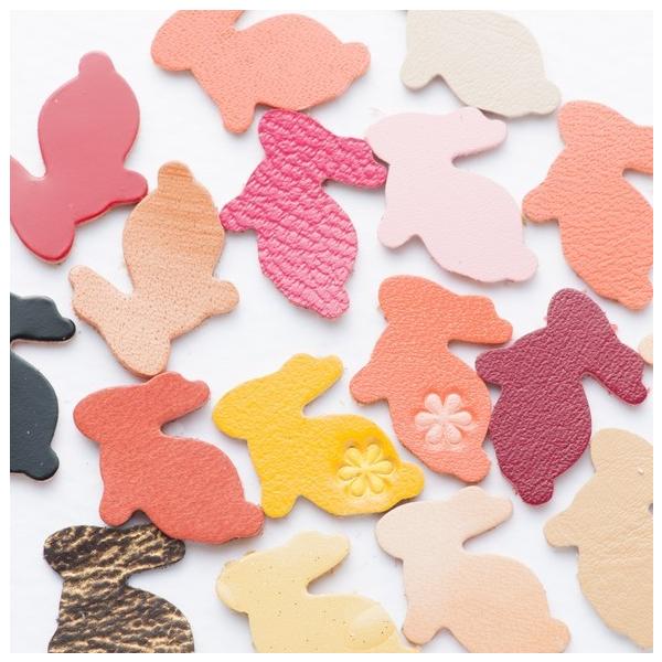 U[p[c ETM^ 2.2cm J[~bNX 10 A\[gSET nhCh nhNtg