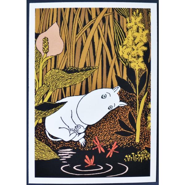 kiramekinomori_p-c-1-062