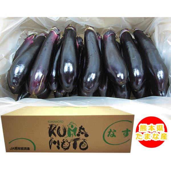 kiramekitamana_1-601