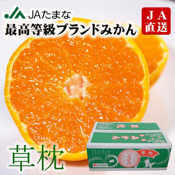 GRANDERMIXTURE 正規品 美品 定価23000円10500円即購入 まもなく終売】JAたまな直送 熊本県産 特選ブランドみかん「草枕」約