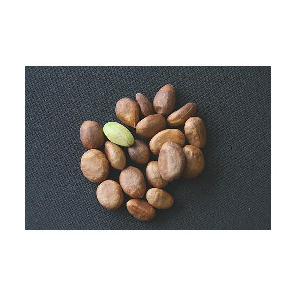 無農薬で育てた枇杷の実から取り出した種になります。産地は熊本県です。