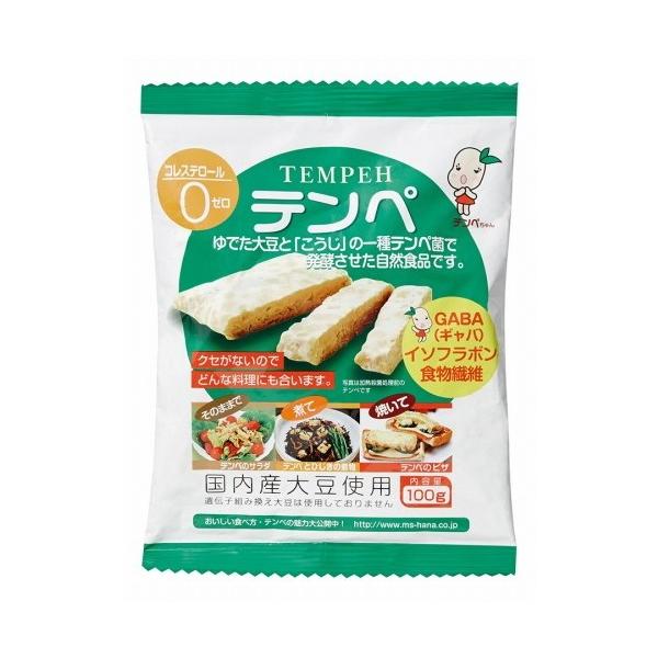 テンペ（レトルト）100g【オーサワジャパン】