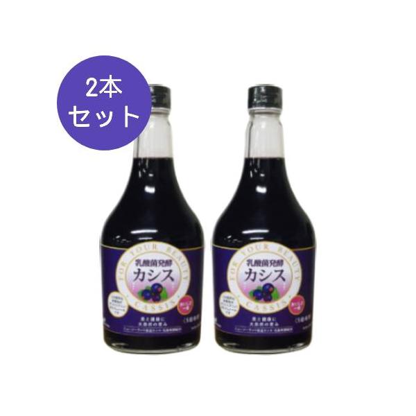 【予約商品】醗酵カシス 565ml×2本セット ※全国送料無料 ※同梱・キャンセル・ラッピング不可 ※お一人様2セットまで ※入荷次第順次お届け