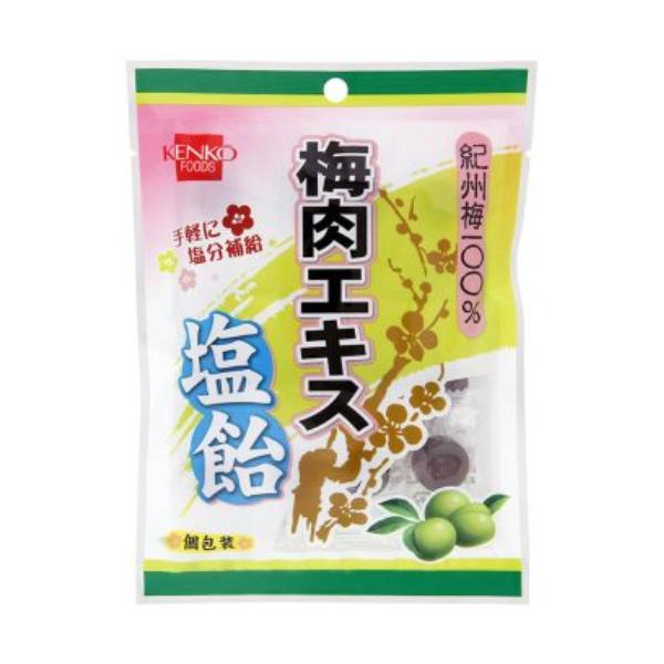 【ゆうパケット対応可（3個まで）】梅肉エキス塩飴 （70g） 【健康フーズ】