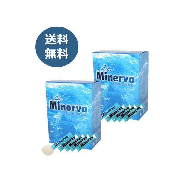 ミネルバ 青パパイヤ発酵食品（3g×30包）×2箱セット ※送料無料（一部地域を除く）【あすつく対応】【ラクシュミー】