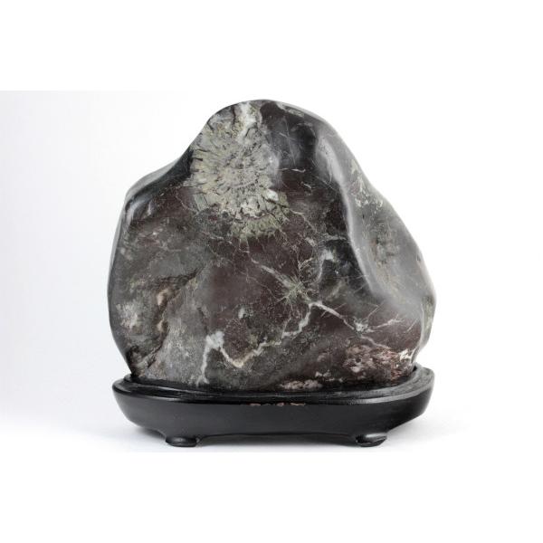 岐阜県根尾谷産 菊花石 台付き 1.5kg : 天然石通販キラリ石