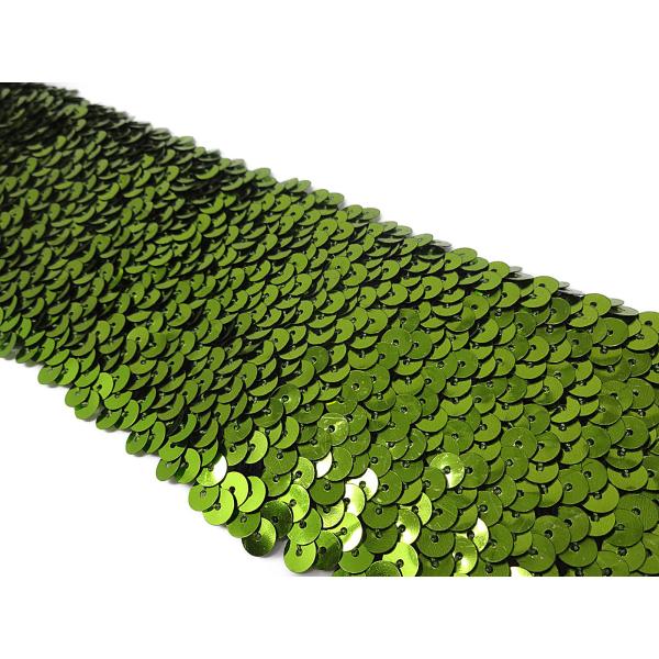 L| No.1005_XpR[u[h |pk^CviΐFFO[j_7cm×2 V[NC sequin