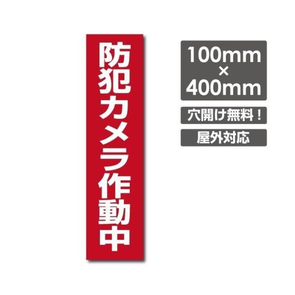 yhƃJ쓮zA~ v[gŔ Ŕ F3.0mm W100mm×H400mm camera-211
