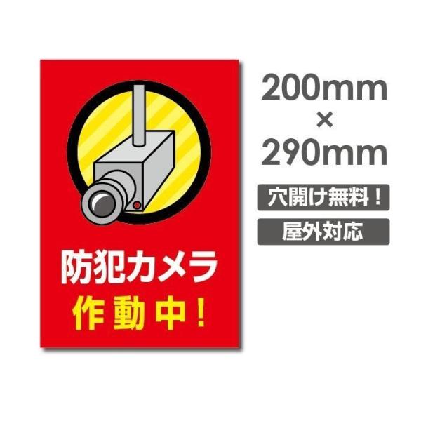 yhƃJ쓮zŃhL [֑Ή A~ v[gŔ Ŕ F3.0mm W200mm×H290mm camera-241