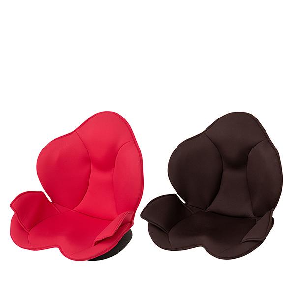 芦屋美整体 【最大10%クーポン】芦屋美整体 骨盤スリムスタイリー