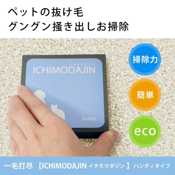 他サイト： 一毛打尽（いちもうだじん） ペット 抜け毛 掃除 クリーナー 一網打尽の商品画像