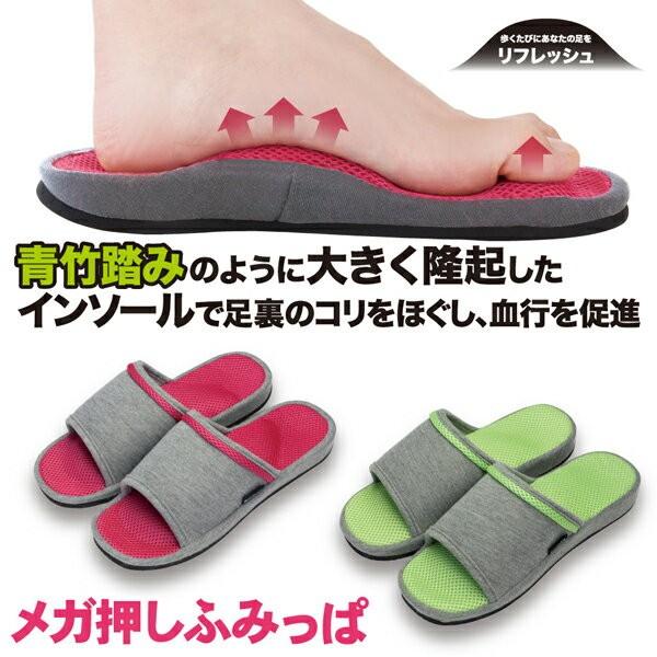 NT_ |ӂ Kӂ݂ 23.0`25.0cm | T_