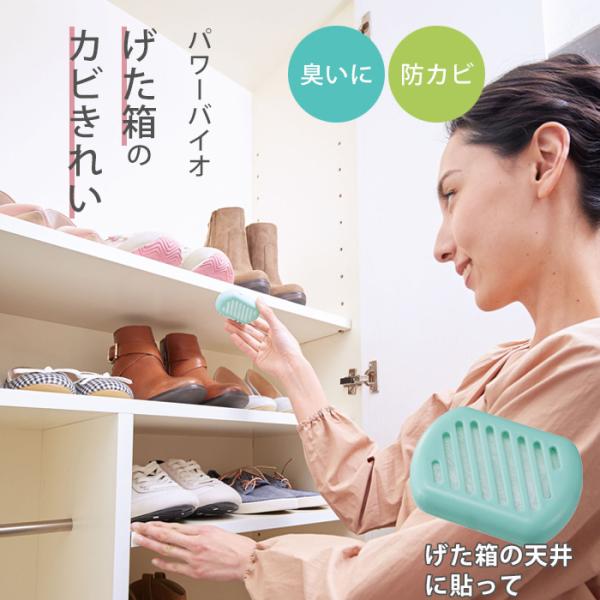 パワーバイオ げた箱のカビきれい コジット 下駄箱 カビ取り 防カビ剤 カビ 防止 対策 掃除 カビ臭 貼るタイプ 天井 扉の内側 靴箱 シューズボックス 消臭