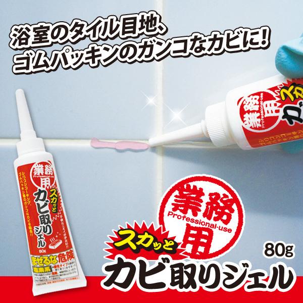 業務用スカッとカビ取りジェル カビ取り剤  風呂 パッキン 目地 黒カビ カビ除去 カビ落とし 定形外出荷