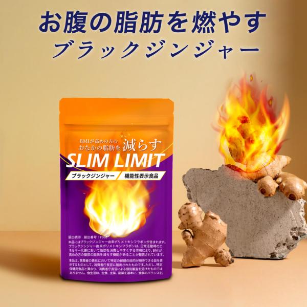 【公式】スリムリミット6袋セット　お得なセット 【機能性表示食品】 ダイエットサプリ　ダイエット 脂肪燃焼 内臓脂肪 美容 キレイデラボ　送料無料
