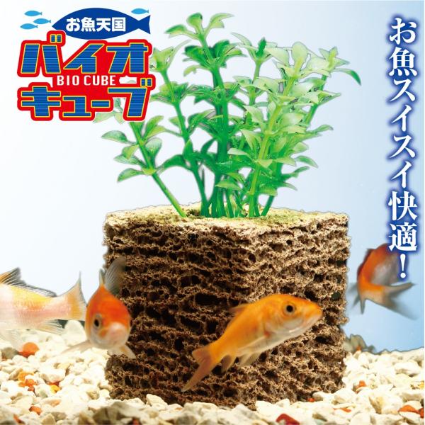 金魚鉢 フィルターの人気商品 通販 価格比較 価格 Com