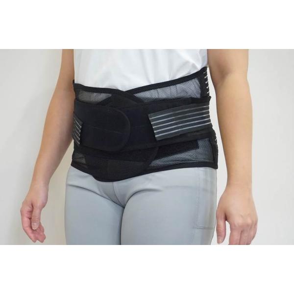 ƍՂ4WaybVT|[^[ T|[^[ @jp Ճxg 4WAY fXN[N bV ʋC 2