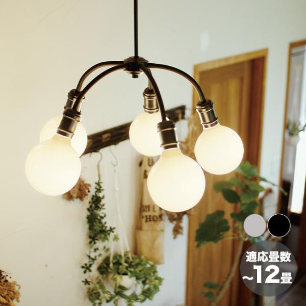 PALLO pb VfA 5(Ɩ V[OCg y_gCg CeA Vv  킢)