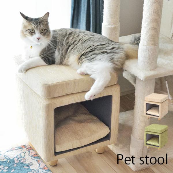 ybgXc[ PET-62(ybgnEX ybg nEX xbh  p  p L lR ˂ ybgpi Ƌ)