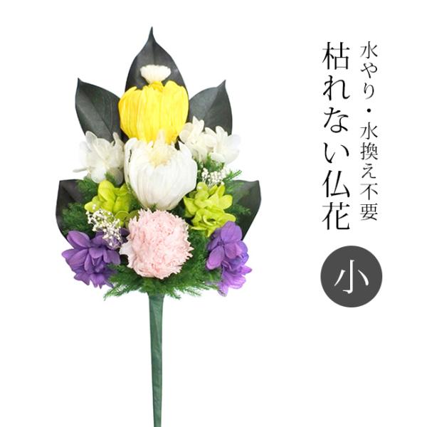 しっかりとした存在感のサイズと、清々しい色合わせが特徴のプリザーブド仏花。生花のプリザーブドフラワーとドライフラワーを組み合わせて、生花のような美しさを持つ仏花に仕上げました。プリザーブドフラワーを使用しているため、水やりや水換えが不要。生...