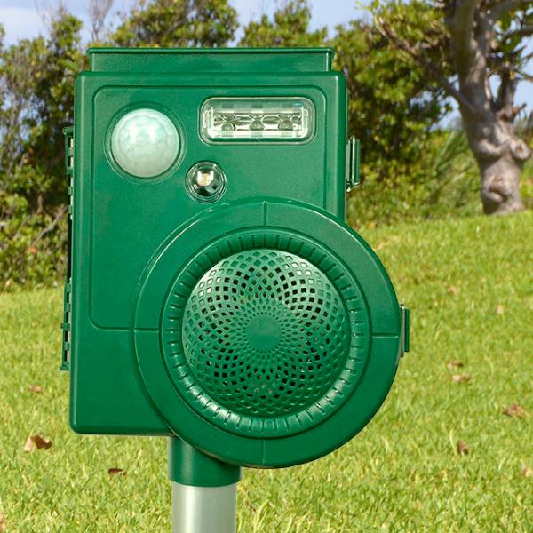 Qbފnew tbO}(Qb Qb Qb쏜 ފ \[[ \[[pl drsv [d 100dB 剹)