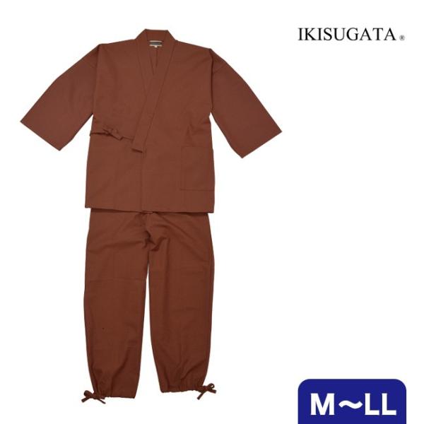 얱 B`a IKISUGATA `a({/ėp/ނ/a//z[EFA/a/̓v[g/am/TG/蕨)yMtgΉz