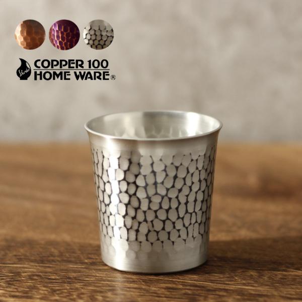 V  Ȗڂۂ  100ml(    ̂ { {   j   e ӎ)