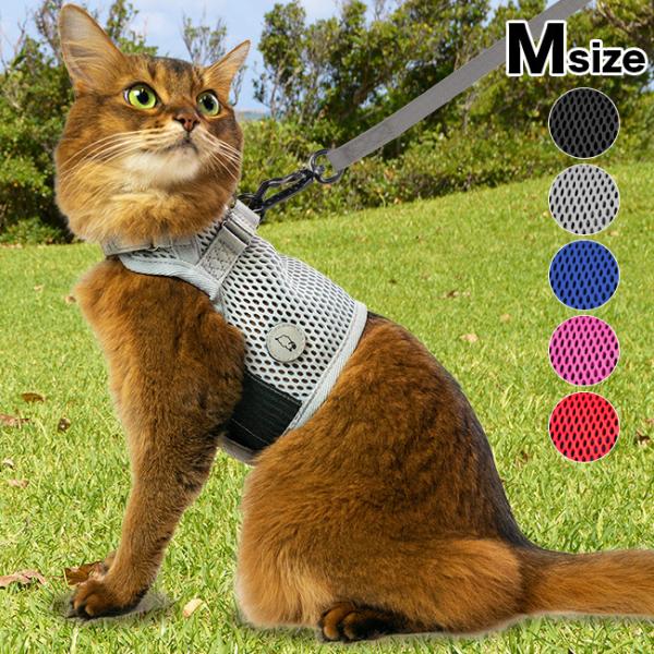 Sleepypod X[s[|bh }[`Q[Lbgn[lX MTCYX[V(L ^ n[lX [h ˂)