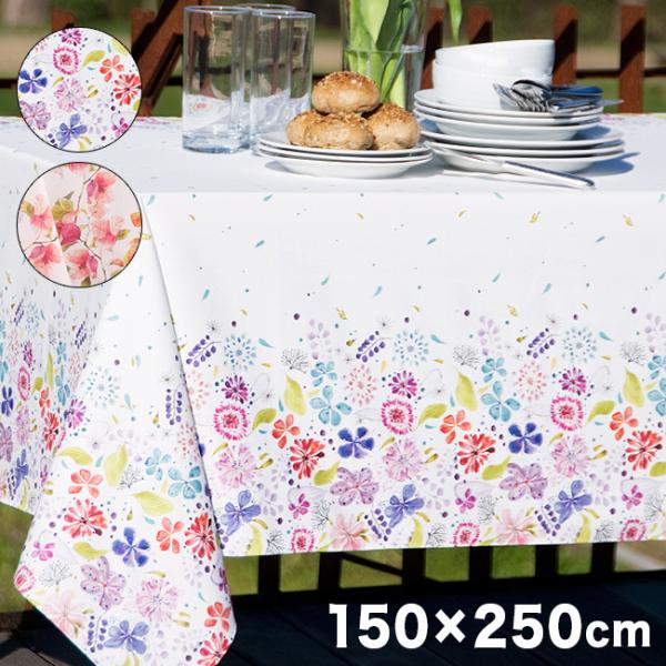 XyCe[uNX 150×250cm(e[u NX ` lp  킢  H Cxg n)