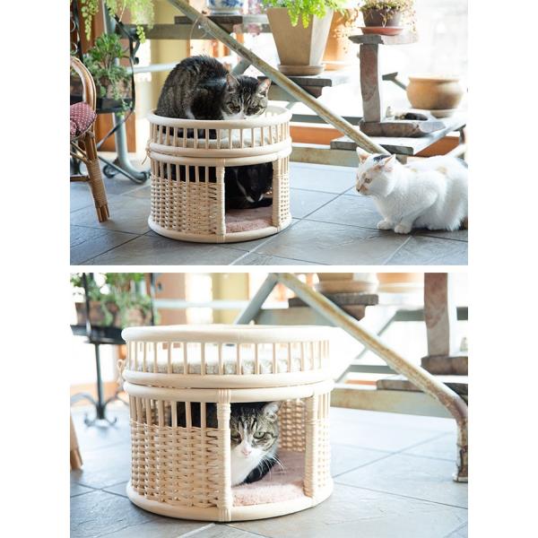即納 ツルヤ商店 専門店 Nejiro Full 猫 ベッド ラタン 猫ハウス 冬用 雑貨 キャットハウス おしゃれ 夏 オールシーズン 冬 夏用