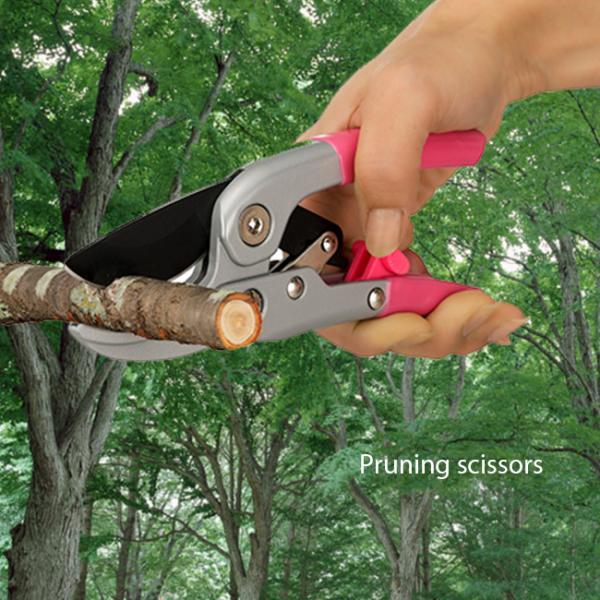 4i`Fbg X[YnT~ SV-6773 h1026( ͂ nT~  }؂ } A  K[fjO _)