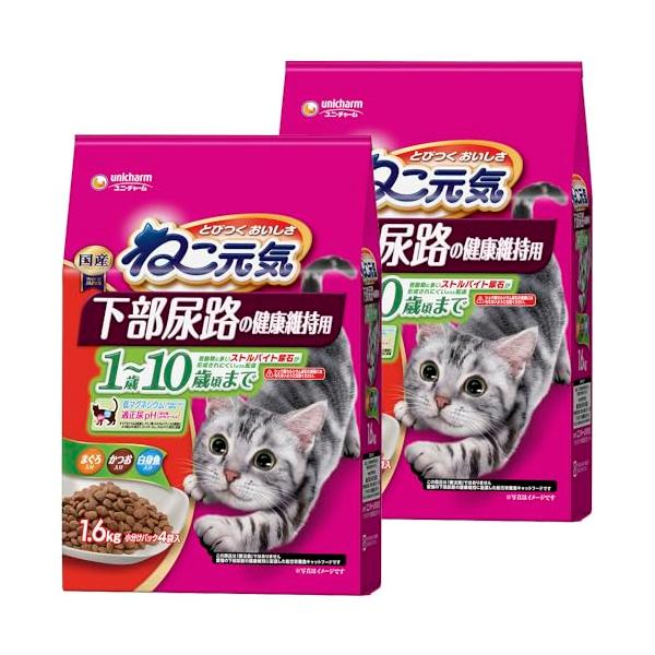 他サイト： ねこ元気 キャットフード 下部尿路の健康維持用1歳~10歳頃までまぐろ・かつお・白身魚入り 1.6kg×2個 1.6キログラム (x 2)の商品画像
