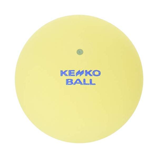 他サイト： ナガセケンコー(KENKO) ケンコーボール ナガセケンコー ケンコーソフトテニスボール スタンダード イエロー 2個 TSSY-Vの商品画像