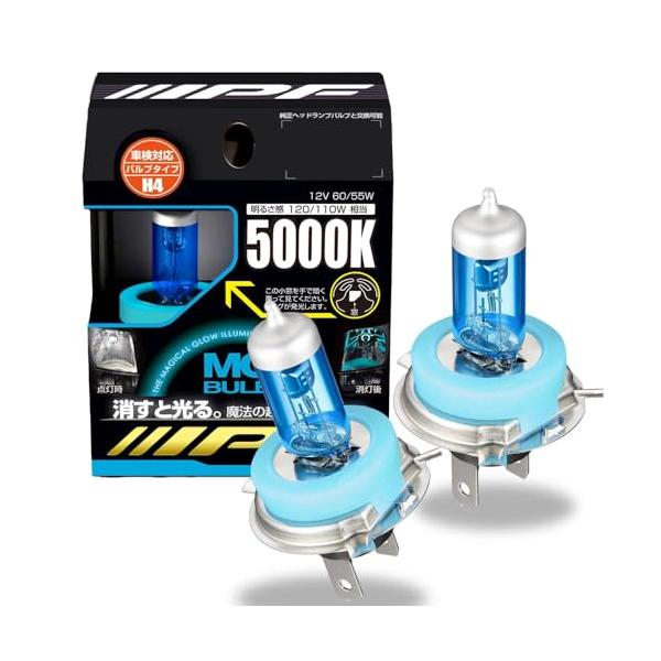 IPF ヘッドライト フォグランプ ハロゲン 車用 H4 5000K 白色 12V用 2