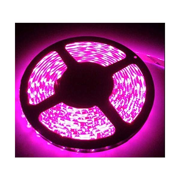 短色 LEDテープライト● 24Ｖ 高輝度 5M 300連 防水IP65 切断 白ベース/LED 強力粘着両面テープ 正面発光 SMD 5050