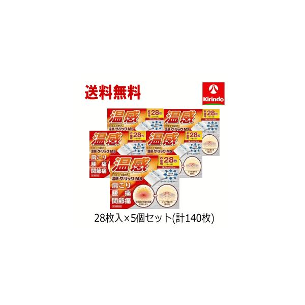 商店 送料無料 5セット 大石膏盛堂 温感ゲーリックms 28枚入 1個 湿布 肩こり 腰痛 関節痛 お徳用28枚入 Megjc Gov Jm